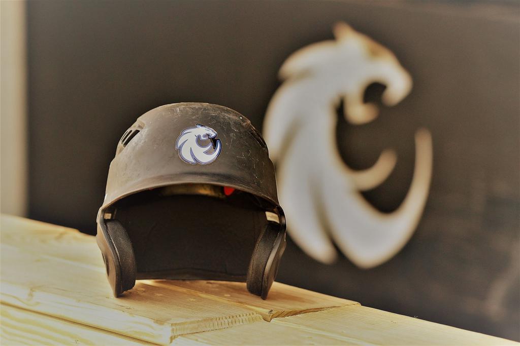 Wildcat Helmet