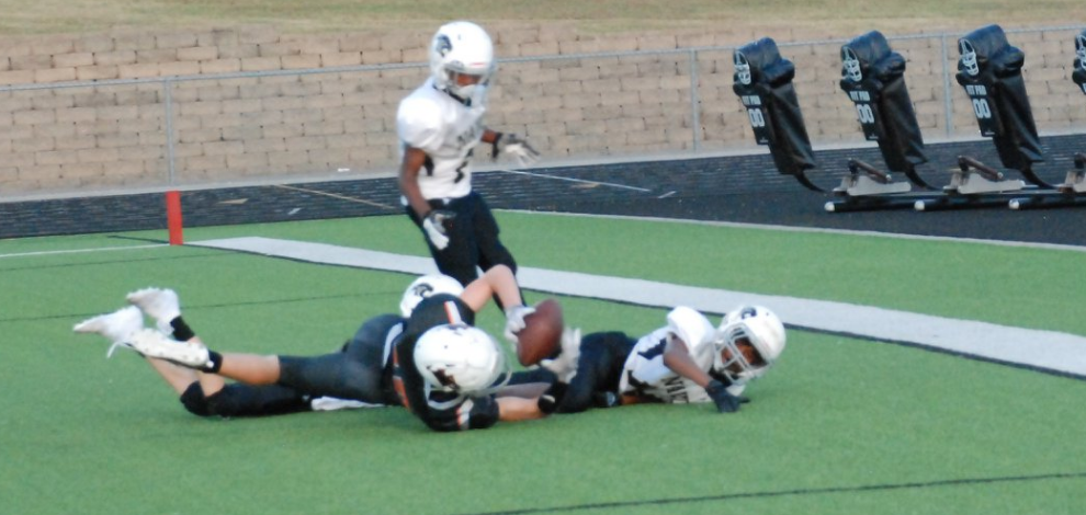 Nice Catch