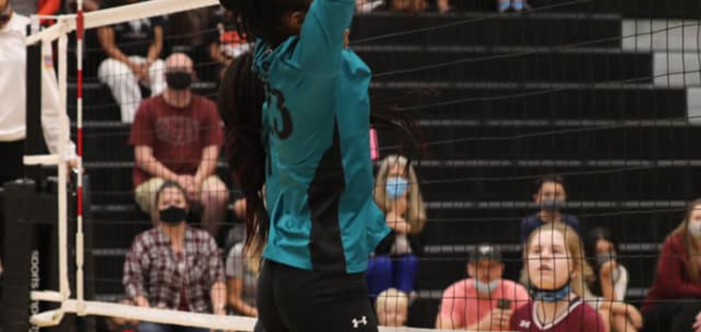 Volleyball 