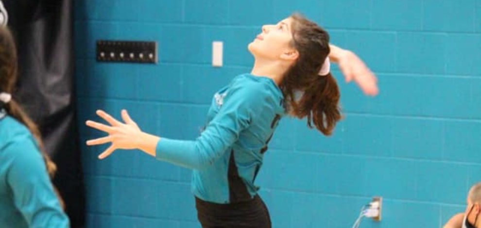 Volleyball 