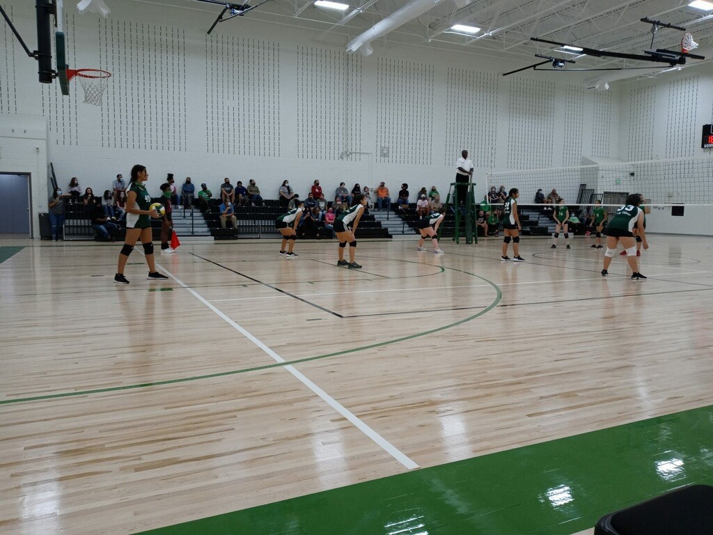 Volleyball Action
