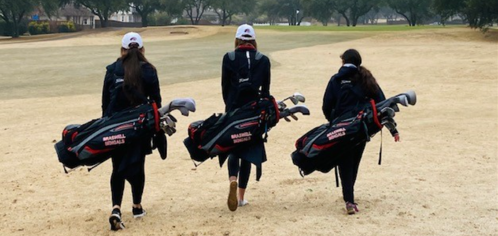 Braswell Golf
