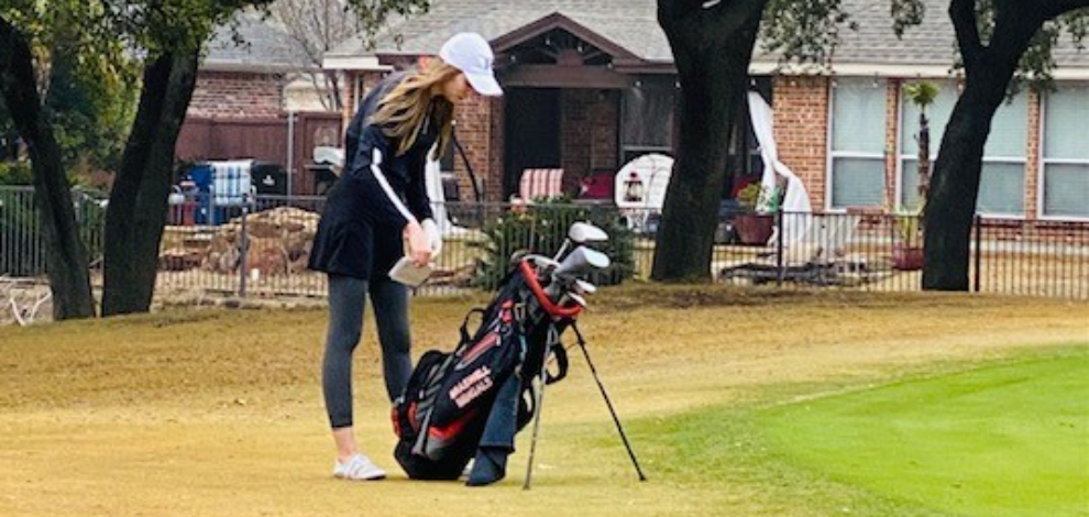 Braswell Golf