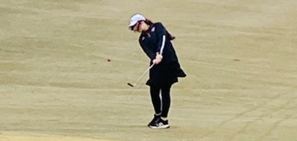 Braswell Golf