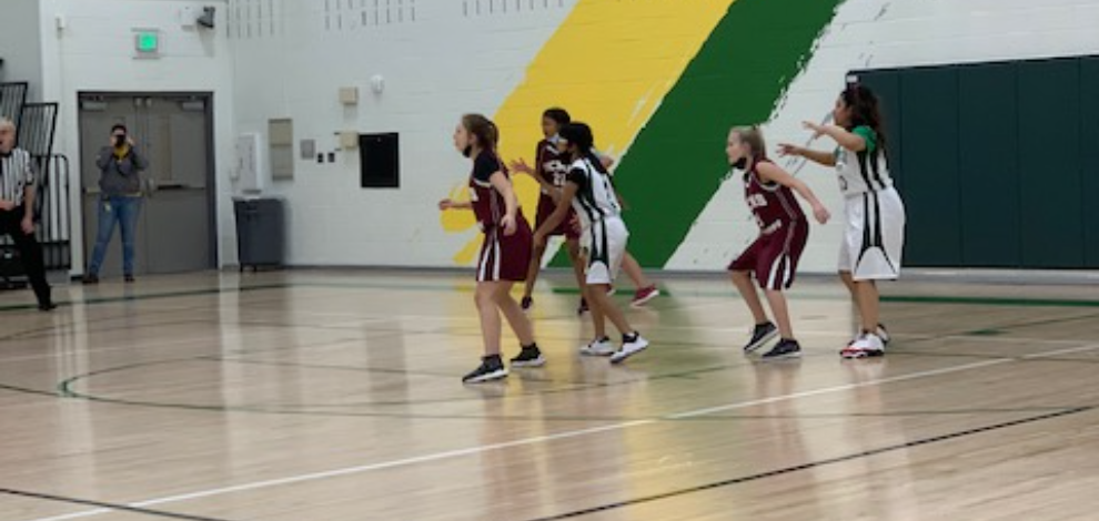 Basketball Action