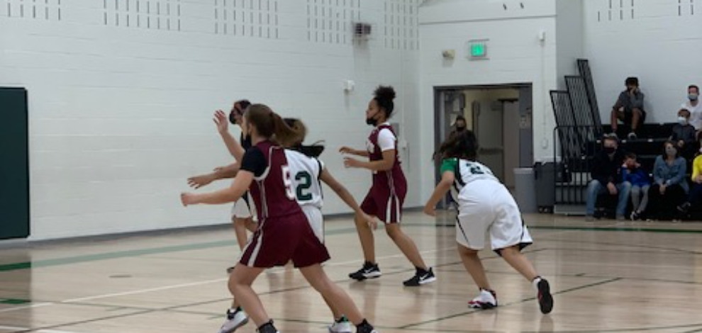 Basketball 