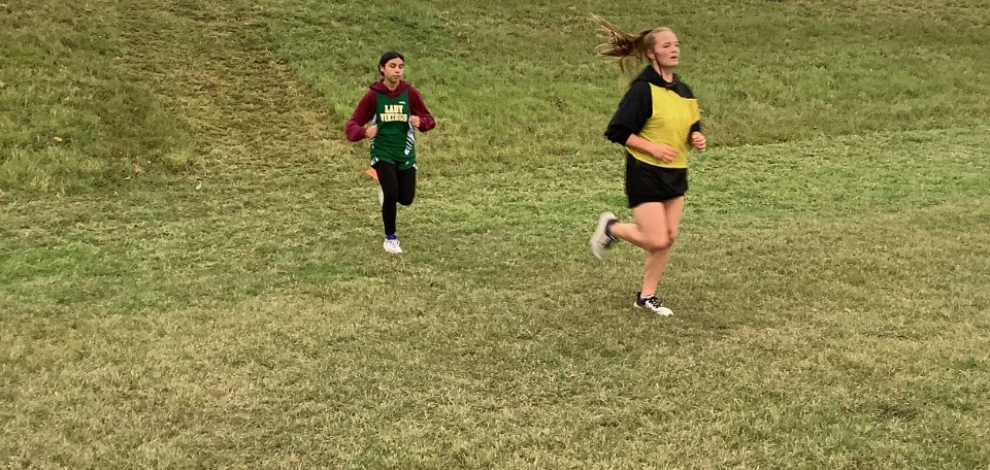 Cross Country